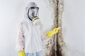 Mold Remediation for Rental Properties in Danville, PA